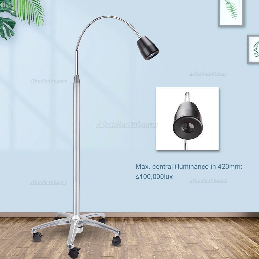 Micare JD1100 High brightness portable dental led examination light